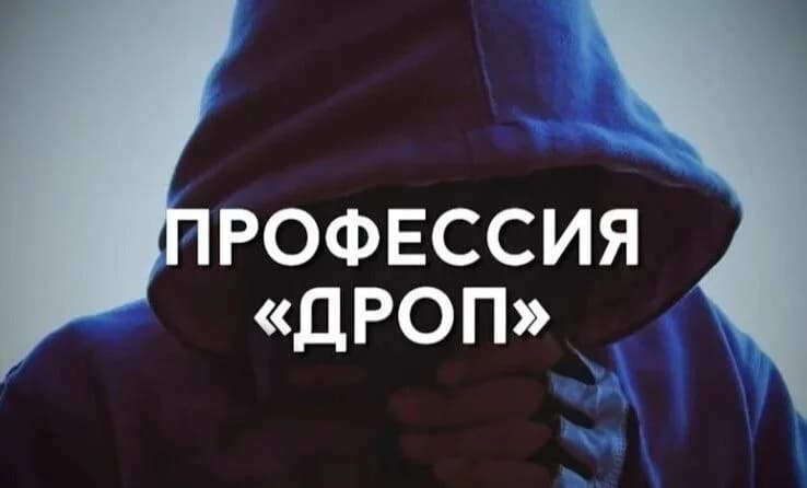 В Витебске накрыли «бизнес» по вербовке дропов: как обычная подработка привела к уголовному делу.
