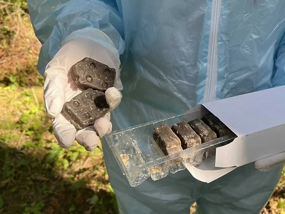 Минсельхозпрод начал осеннюю кампанию по вакцинации диких животных от бешенства.