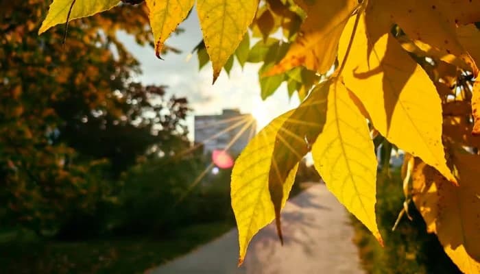 Ещё погреемся?🍂☀️