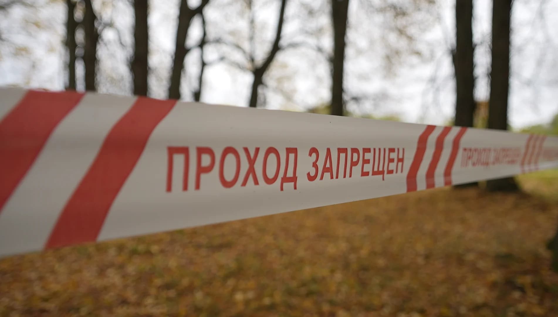 Массовое захоронение жертв геноцида обнаружено в Оршанском районе.